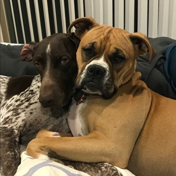 Julie Posh Ambassador - Picture 2 of 9